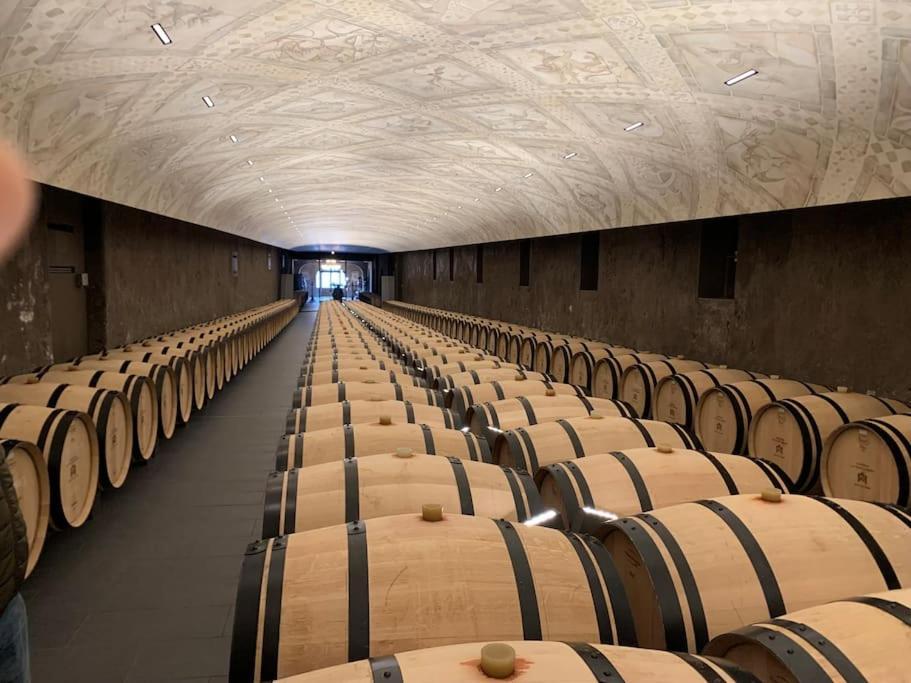 Studio Confortable Aux Portes De Bordeaux Et Medoc Ludon-Médoc 외부 사진
